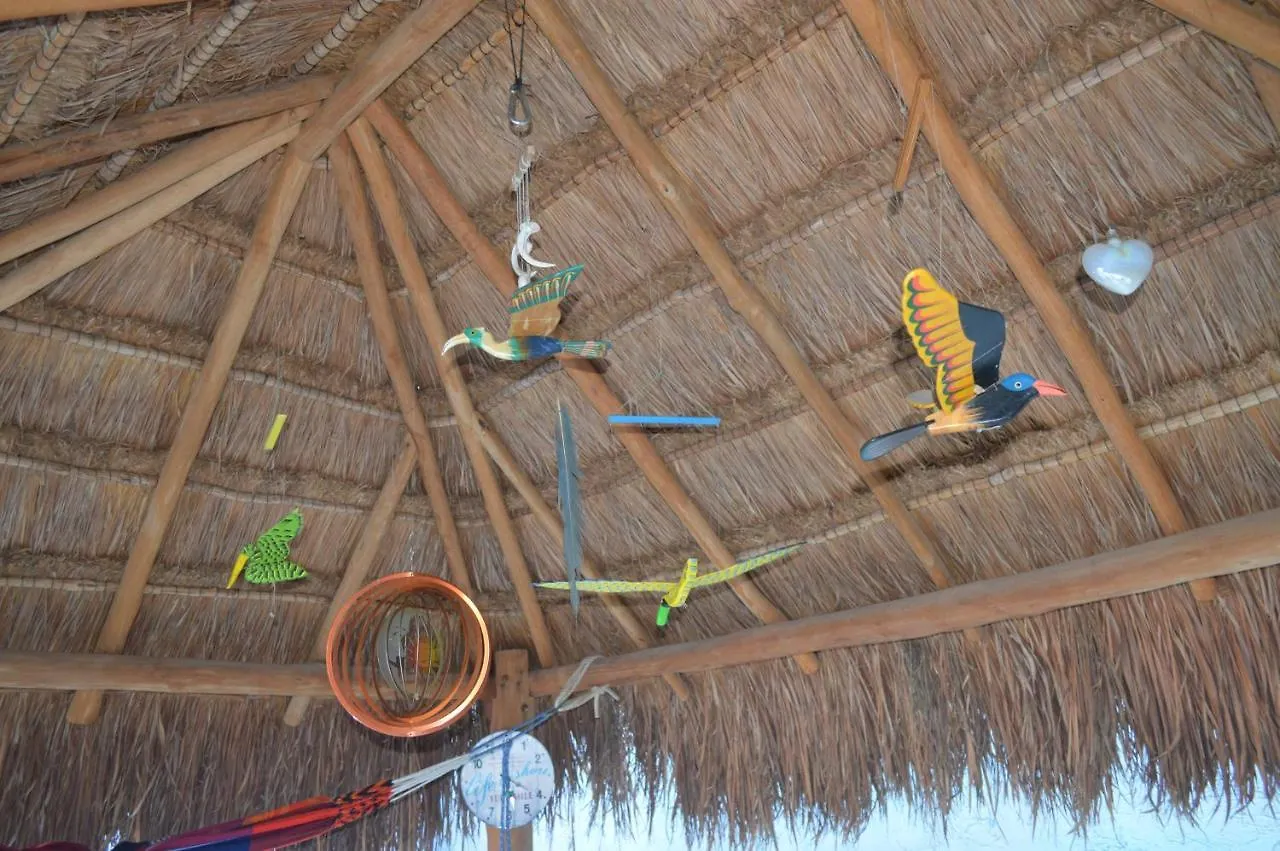 לינה וארוחת בוקר Myoli B&B. Playa Del Carmen, Mexico