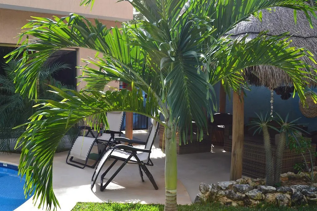 Myoli B&B. Playa del Carmen, México Oda ve Kahvaltı