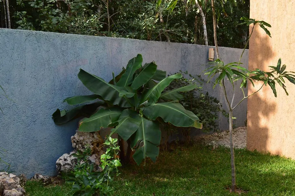 Myoli B&B. Playa Del Carmen, Mexico 住宿加早餐酒店